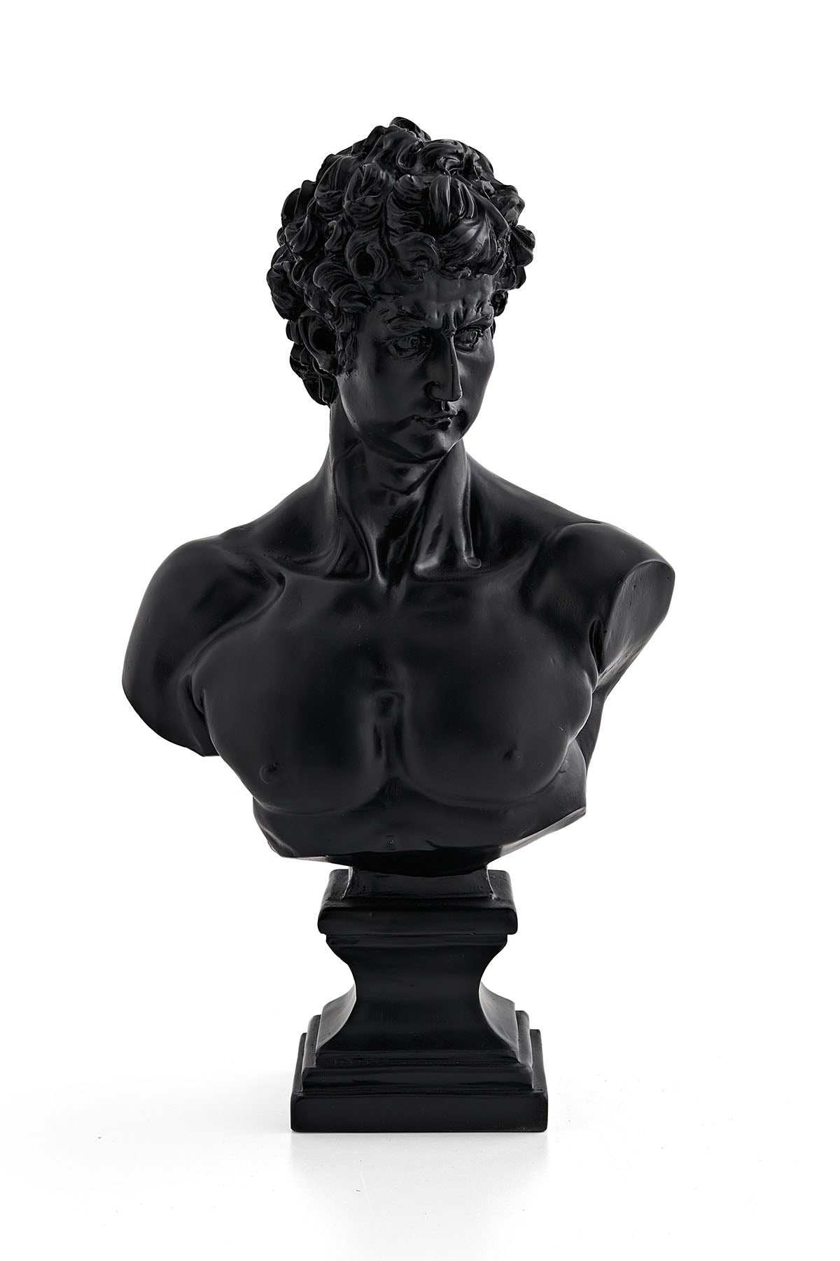 David Bust