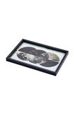Valentin Tray